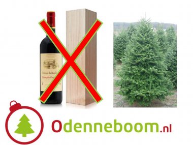 Geen fles wijn als relatiegeschenk, maar een echte kerstboom thuis bezorgd