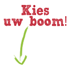 Kerstboomshop_kies-uw-boom